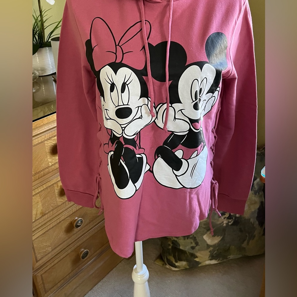 Disney Collectible Sweatshirt..NWOT